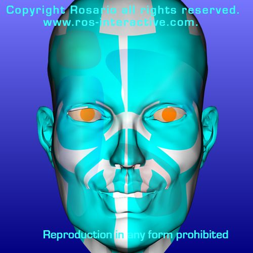 Char - 3D Mesh - Female Face #256