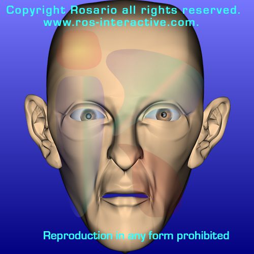 Char - 3D Mesh - Male Head #197
